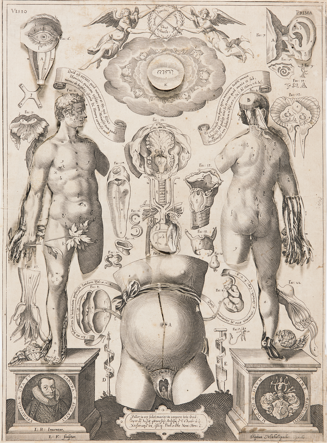 Anatomical Plate with Male and Female Figures