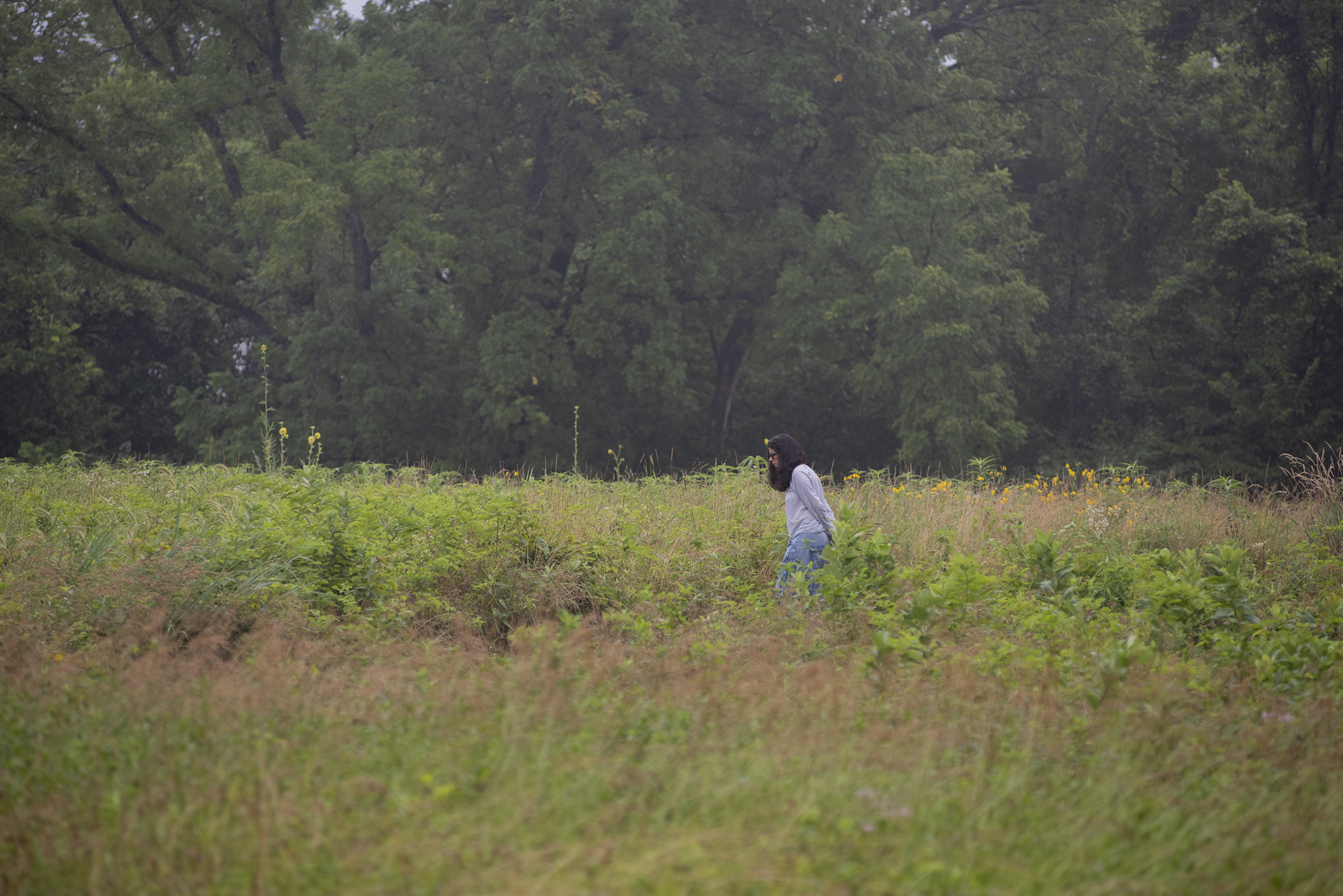 Artist Janine Antoni walks through a large, green field of prairie grass