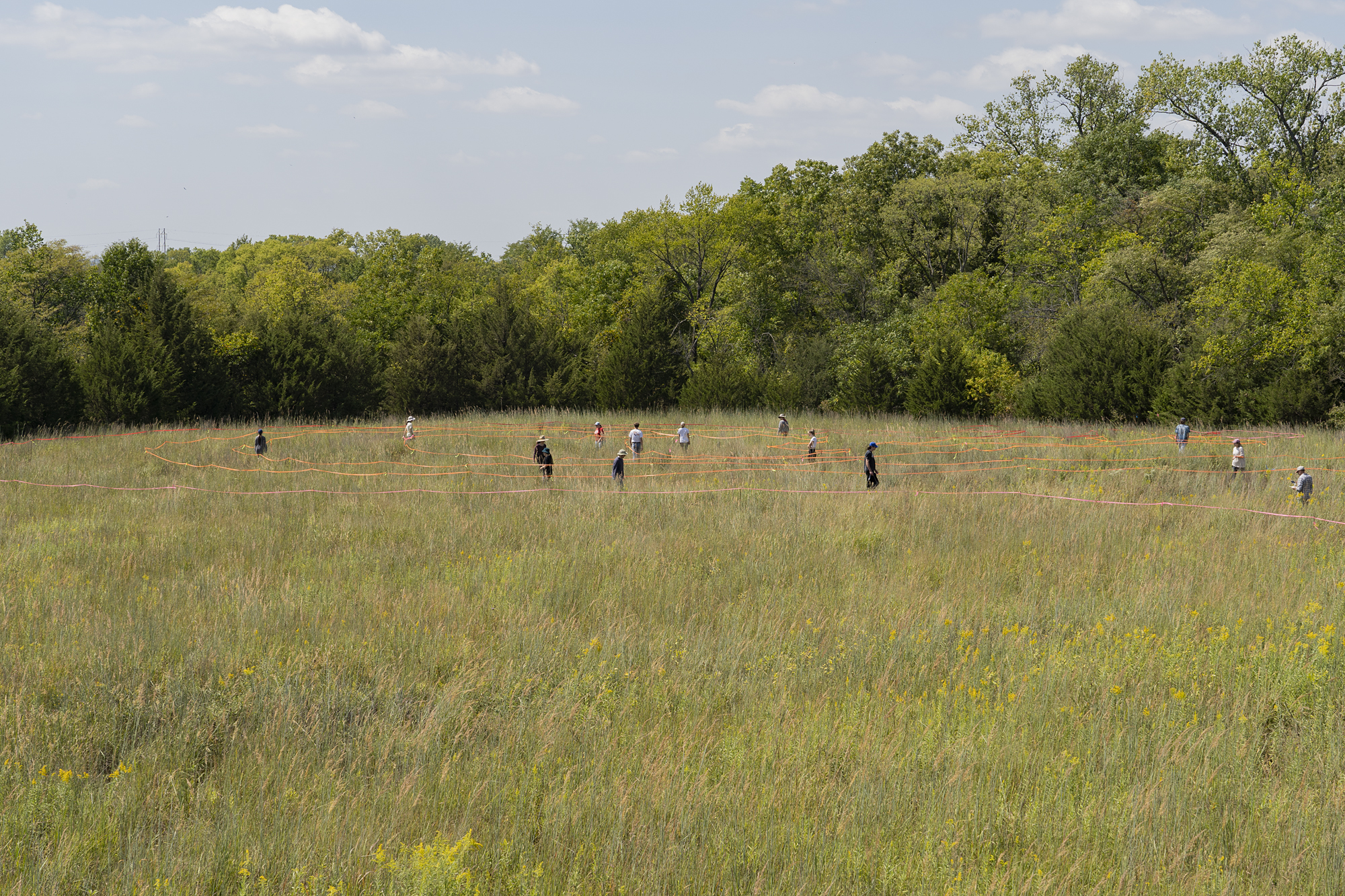 A group of people walk along a path in a field of tall, green grass