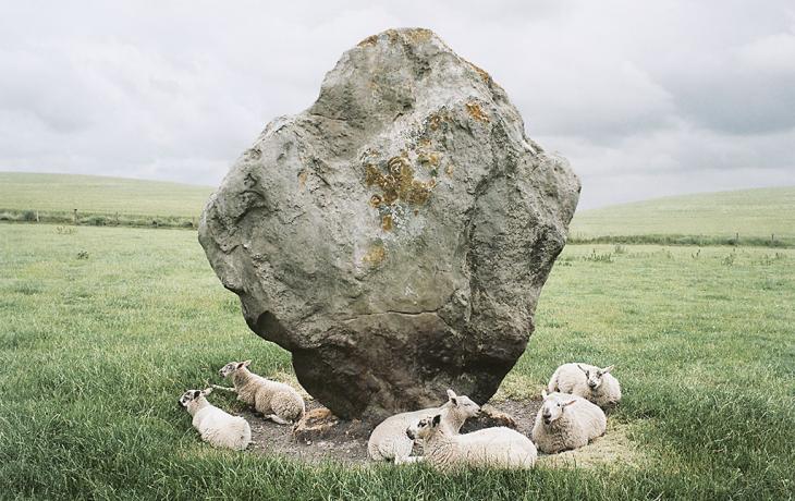 Barry Andersen Sheep and Standing Stone, Avebury, England, 1995