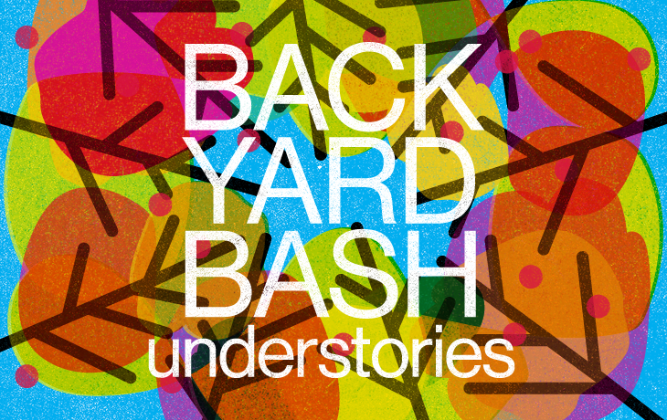Backyard Bash Understories