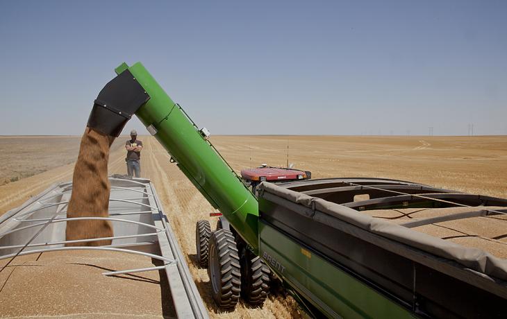 Transferring wheat from hopper to truck, Kiowa County, Kansas, June 2012 by Larry Schwarm