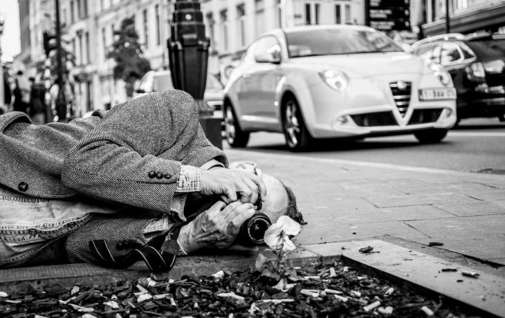 Artist Paul Harfleet lays on the ground to take a photograph of a pansy