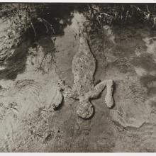 <a href="https://spencerartapps.ku.edu/collection-search#/object/18407" target="_blank"><i>untitled</i> by Ana Mendieta</a>