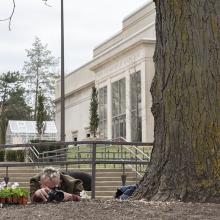 Artist Paul Hartfleet takes a photo of a planted pansy in front of the Spencer Museum of Art