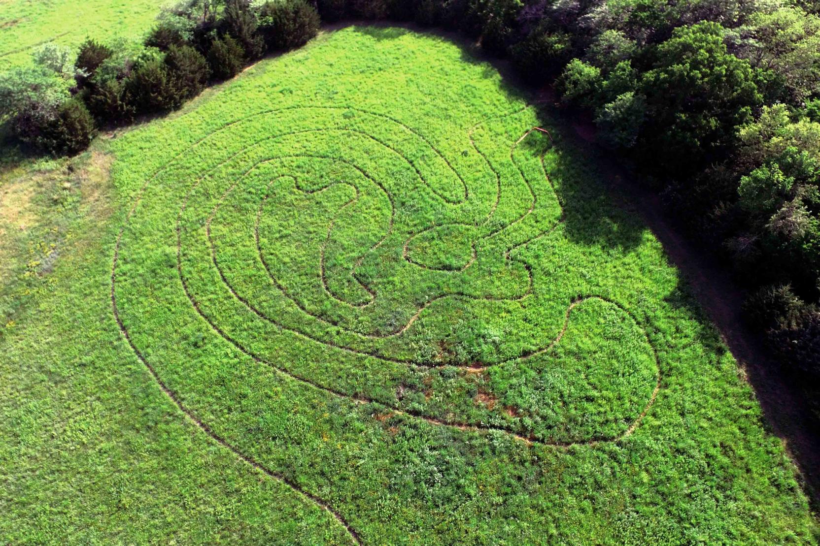 Overhead view of a path in the shape of a human ear in bright green field